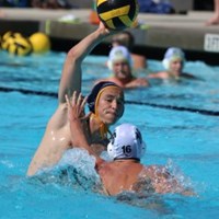 Портфолио Kyler Gleason